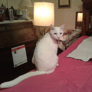 Meet your Posher, Gloria